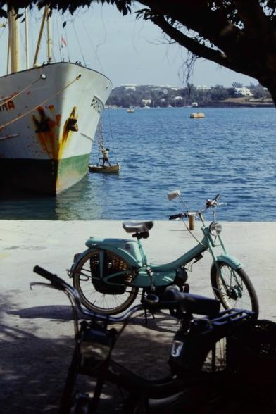 Bikes parked under a tree at the side of the water. A man stands on a small boat in the water and works on a larger boat above.