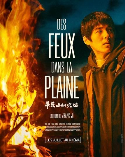 Poster du film les feux dans la plaine