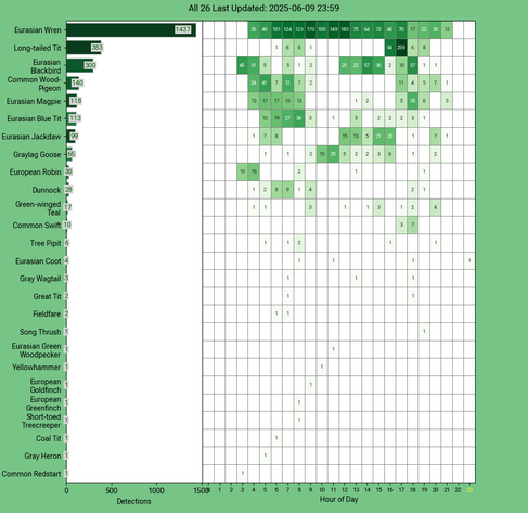 Today's top 20 bird chart