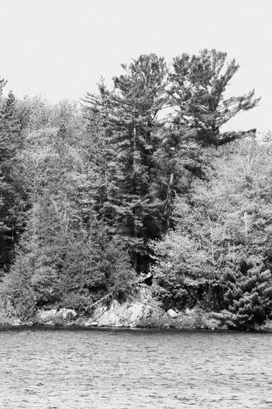 Densely wooded shoreline of a small island in Elliot Lake. Trees reach the shore, except for an area featuring a rock outcrop.