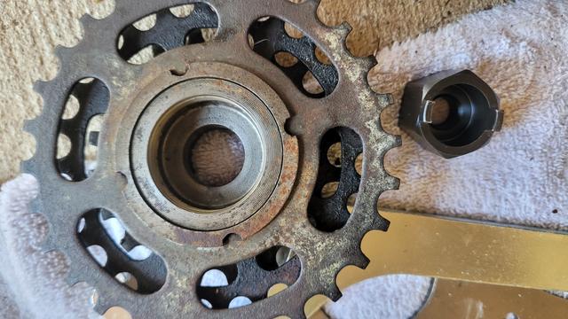 Rear freewheel and removal tool