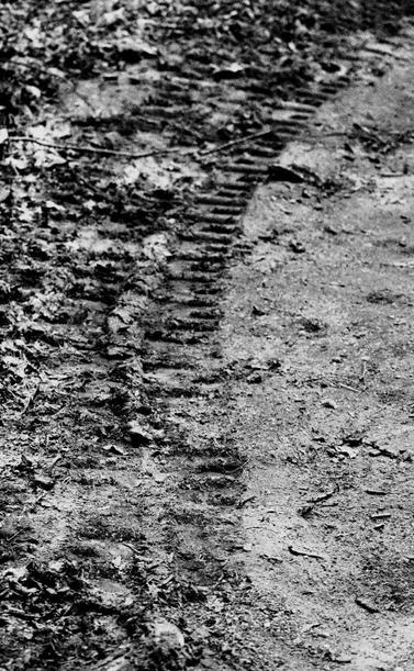 Close up of machine track curving on the ground of the Elliot Lake nature trail.
