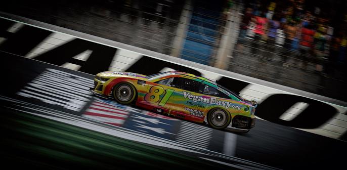 Simulated NASCAR stock cars on track. Focus on the number 81 Chevy. Rainbow paint flowing design. VeganEasy.org the primary sponsor.