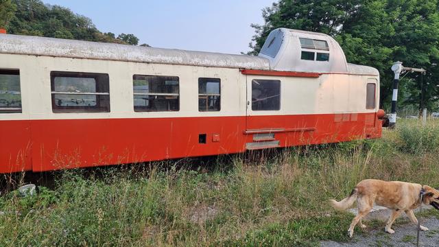 Une micheline rouge et blanche  désaffectée à la gare de Cajarc encombrée d'herbes hautes,on voit sur la droite le chien Galou qui explore les lieux