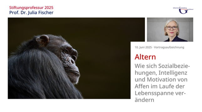 Ankündigung eines Vortrags im Rahmen der Gutenberg-Stiftungsprofessur, mit einem Foto der Inhaberin Prof. Dr. Julia Fischer und einem Bild eines älteren Affen als Illustration.