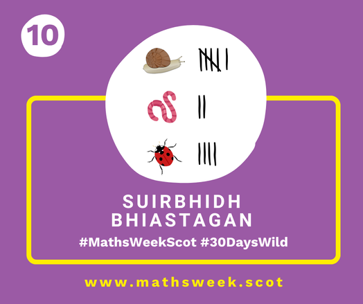 A colourful graphic with a purple background and a yellow frame. Overlapping the top of the frame is a white circle with a picture of a snail, a worm and a ladybird with some tally marks beside them. Inside the yellow frame are the Gaelic words "Suirbhidh Bhiastagan" and the hashtags #MathsWeekScot and #30DaysWild. Under the frame is the Maths Week website URL.
