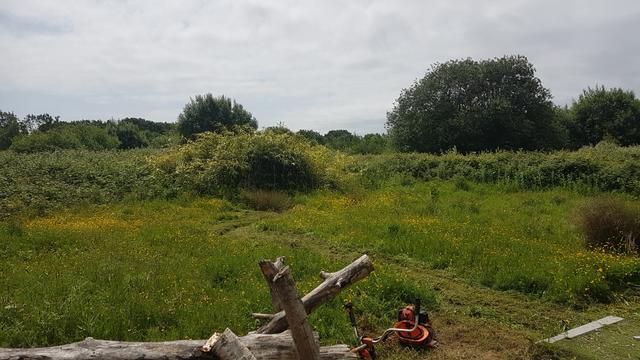 Plot view with trimmer.
