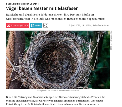 Screenshot Artikelheader https://www.golem.de/news/drohnenkrieg-in-der-ukraine-voegel-bauen-nester-mit-glasfaser-2506-196941.html