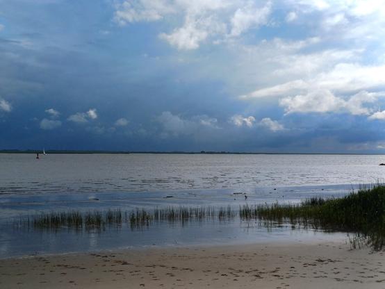 Elbstrand (Nordseite) hinter Glückstadt elbabwärts