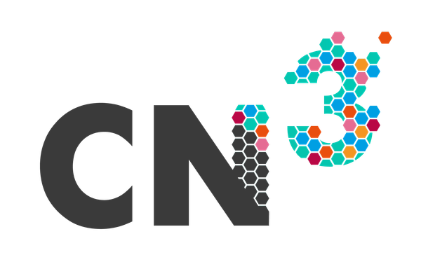 Multi-colour logo for the summer school.