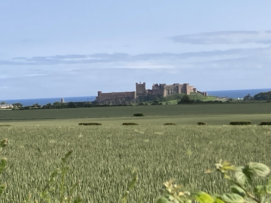Bamburgh Castle viewed from across the fields in the morning sunshine ☀️