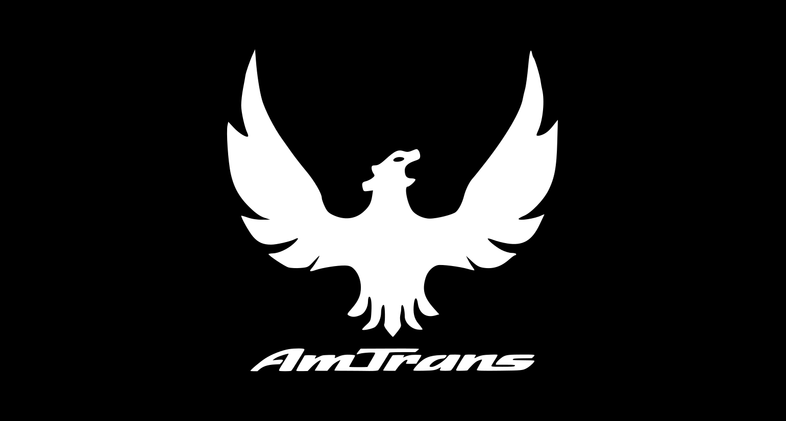 The trans am logo (with phoenix) but it says Am Trans.