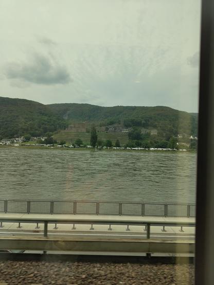 Slightly obstructed view from a 🚆 across the river Rhine. And a blurred castle in the background.