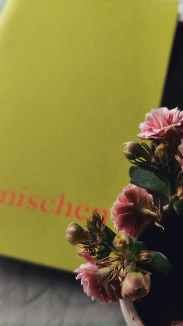 An issue of Mischen magazine behind a small bouquet of flowers.