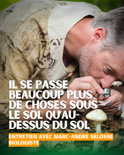 MarcAndréSelosse
