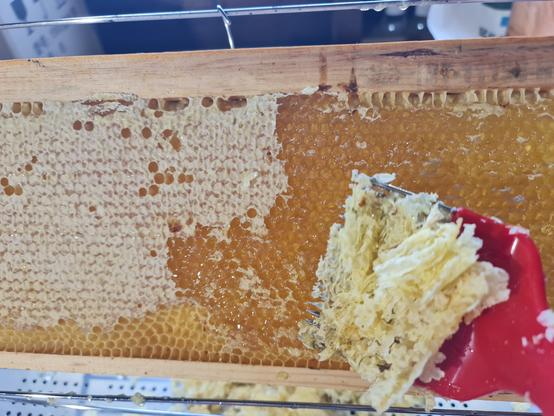 ontzegelen van honingraat in honingraam