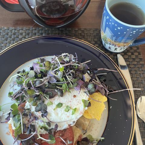 A blue rimmed plate with an avocado toast. The bread is stacked with fried egg, sliced red tomatoes, and a generous amount of microgreens. A cup of tea and a teapot are next to the plate