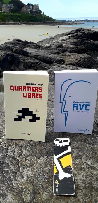 Couvertures de deux livres :
"Quartiers libre" -vol 1 / Guillaume Cayet & "AVC récit d'un im-patient".  
Éditions Libertalia.  Couvertures de Bruno Bartkowiak. 
Photo prise sur une grève au bord de la mer en Bretagne Nord.