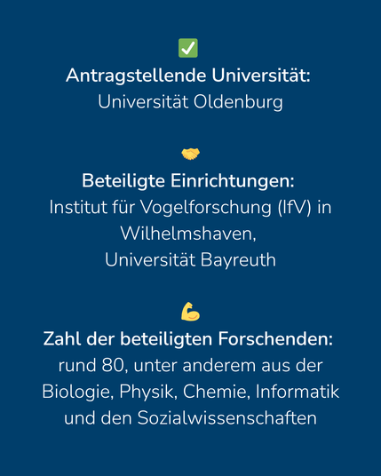 Das Bild ist eine reine Texttafel mit dem Text: "Antragstellende Universität: 
Universität Oldenburg. Beteiligte Einrichtungen: Institut für Vogelforschung (IfV) in Wilhelmshaven, Universität Bayreuth. Zahl der beteiligten Forschenden: 
rund 80, unter anderem aus der Biologie, Physik, Chemie, Informatik und den Sozialwissenschaften"