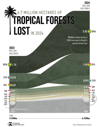 Country	2023 (Mha)	2024 (Mha)
🇧🇷 Brazil	1.14	2.82
🇧🇴 Bolivia	0.49	1.48
🇨🇩 Congo (DRC)	0.53	0.59
🇮🇩 Indonesia	0.29	0.26
🇵🇪 Peru	0.15	0.19
🇱🇦 Laos	0.14	0.12
🇨🇴 Colombia	0.07	0.10
🇨🇲 Cameroon	0.10	0.10
🇳🇮 Nicaragua	0.06	0.09
🇲🇽 Mexico	0.05	0.09
🌐 Other countries	0.73	0.89
Total	3.74	6.73