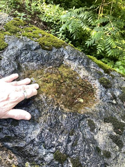 My hand touching a pool of rain on stone railing of a bridge