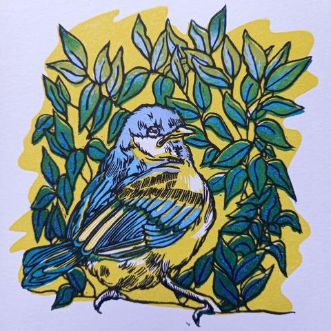 Estampe d'un oiseau bleu posé sur une branche, entouré de feuillage