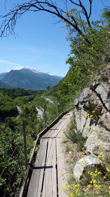 On the Waalweg from Kastelbell to Latsch