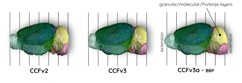 Different versions of the Common Coordinate Framework: CCFv2 and CCFv3 from the AIBS, as well as the extended and improved CCFv3a-BBP from the Blue Brain Project.