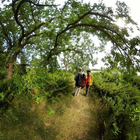 One of a series of photographs in which two people are pictured hiking, biking, and kayaking throughout a beautiful and verdant state park in central Minnesota under cloudy blue late-summer skies.