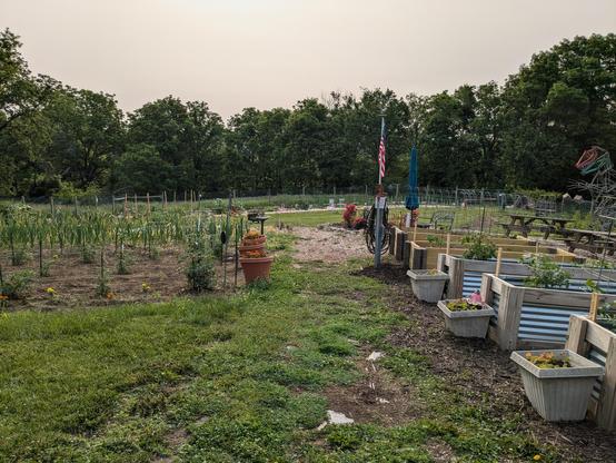 A view of many of the plots and raised beds in our community garden. We're adjacent to a public sports park, and also a nice wooded hillside. My plot is to the left, towards the back corner.