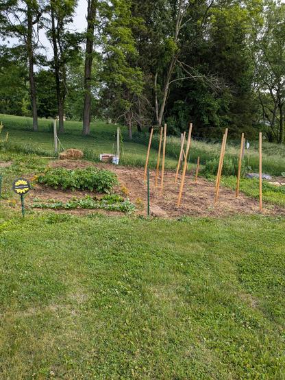 My garden plot, about 500 square feet (~ 46 sq m).