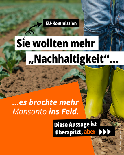 Im Hintergrund ist ein Foto zu sehen: Gelbe Gummistiefel unter einer hochgekrempelten Jeans stehen auf braunem, lockerem Ackerboden. Um die Person herum wachsen grüne Pflanzen in gleichmäßigen Reihen – ein typisches Agrarfeld. Das Bild deutet auf einen Landwirt*in hin, ist aber nur ausschnittsweise zu sehen.

Im Vordergrund steht in weißen Balken der Text: „Sie wollten mehr ‚Nachhaltigkeit‘…“, ergänzt durch einen eingefügten Pfeil zur EU-Kommission. Direkt darunter, hervorgehoben auf orangem Hintergrund, steht: „…es brachte mehr Monsanto ins Feld.“ Darunter folgt in kleinerer Schrift: „Diese Aussage ist überspitzt, aber…“, als Überleitung zum nächsten Slide.

Hintergrundfarbe: Das Bild dominiert, grafische Elemente in Weiß und Orange liegen darüber. Bildquelle: deyan_georgiev via Canva.