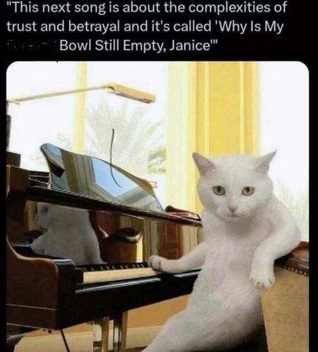 (A cat sitting at a piano)  "This next song is about the complexities of trust and betrayal and it's called 'Why Is My Bowl Still Empty, Janice"