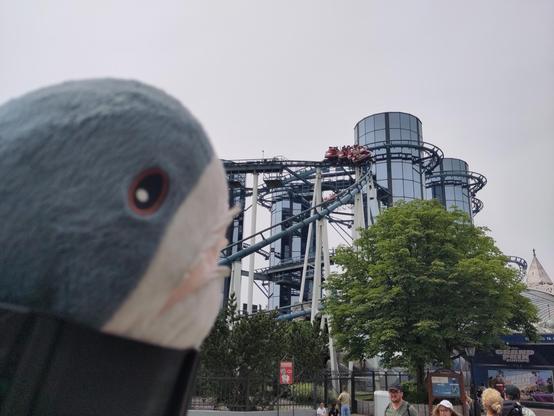 A Blåhaj cuddly shark looking at a rollercoaster that twists around four glass towers.

You can ride that one, Hapi!