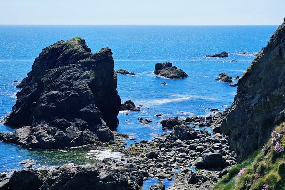 A bright, sunlit coastal scene with large, dark grey rock formations dominating the foreground and midground, leading out to a sparkling blue ocean under a clear sky. On the right, a grassy slope with some pink wildflowers can be seen. The water around the rocks is calm with visible reflections and subtle ripples.