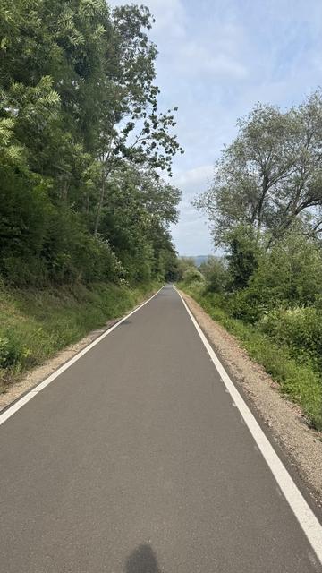 Eine gerade Straße ohne Verkehr und ohne Menschen, die von üppigem Grün und Bäumen unter einem teilweise bewölkten Himmel gesäumt wird.

Der Weg ist rechts und links von neuen Linien begrenzt.