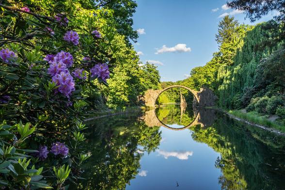 A cloudy morning calls for colorful pictures. I like this recently established &quot;rule&quot; so much that I'm sticking with it.
And so we're going back to the Devil's Bridge in the Rhododendron Park in Kromlau, Saxony.
I promised you that I'd show you more photos where the blossoms of the rhododendron bushes are more visible.
And even this is just a small fraction of what you can find here. The park where this famous bridge is located is home to many rhododendron and azalea bushes, some of which are more than 100 years old.
During the flowering season, these are worth a visit alone (to see them but especially to smell them, because the fragrance is literally breathtaking).

Ein trüber Morgen erfordert farbenfrohe Bilder. Diese kürzlich entstandene &quot;Regel&quot; gefällt mir so gut, dass ich sie beibehalte. 
Und so gehen wir noch einmal zurück zur Teufelsbrücke im Rhododendronpark in Kromlau in Sachsen. 
Ich hatte Euch ja sowieso noch versprochen, dass ich noch Fotos zeige, auf denen die Blüten der Rhododendronbüsche etwas mehr zu sehen sind. 
Und auch das hier ist nur ein kleiner Bruchteil von dem, was Ihr hier finden könnt. Denn im Park, in dem sich diese berühmte Brücke befindet wachsen sehr viele teilweise mehr als 100 Jahre alte Rhododendron- und Azaleenbüsche. 
Während der Blütezeit sind diese allein (sie zu sehen doch vor allem sie zu riechen, denn der Duft ist im wahrsten Sinne des Wortes atemberaubend) einen Besuch wert.
