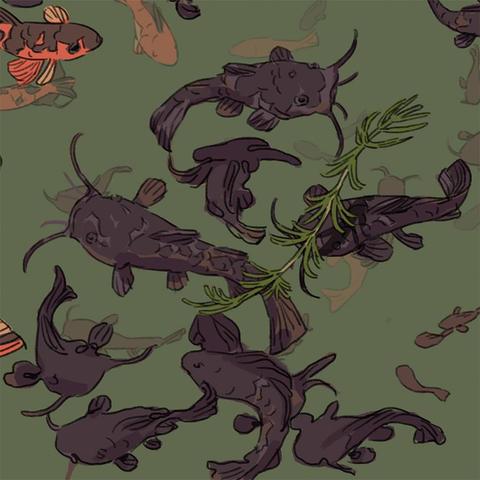 Illustrated drawings of some catfish and koi swimming in greenish murky waters