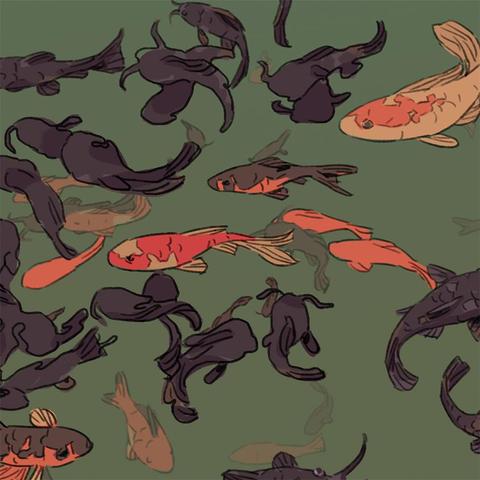 Illustrated drawings of some catfish and koi swimming in greenish murky waters