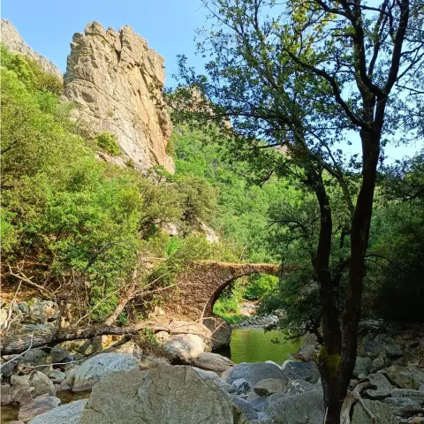 Gorges d'Héric par le canyon du Vialais, entre les massifs du Caroux et de l'Espinouse