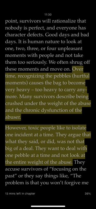Screen shot of the next page, reading: 

[At this] point, survivors will rationalize that
nobody is perfect, and everyone has
character defects. Good days and bad
days. It is human nature to look at
one, two, three, or four unpleasant
moments with people and not take
them too seriously. We often shrug off
these moments and move on.
Over
time, recognizing the pebbles (hurtful
moments) causes the bag to become
very heavy - too heavy to carry any-
more. Many survivors describe being
crushed under the weight of the abuse
and the chronic dysfunction of the
abuser.
However, toxic people like to isolate
one incident at a time. They argue that
what they said, or did, was not that
big of a deal. They want to deal with
one pebble at a time and not look at
the entire weight of the abuse.
They
accuse survivors of "focusing on the
past" or they say things like, "The
problem is that you won't forgive me…”