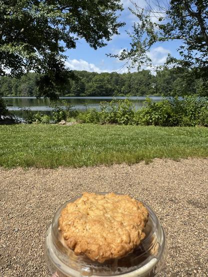 A quite crispy oatmeal cookie rests on top of an iced latte.  One is gazing across a loose stone path to a green grass verge, then some low bushes and a lake.  Across the lake almost all you can see are green trees.  The sky is actually blue again, with white clouds in a variety of forms.

Framing this side of the view are the branches of 2 trees, although you can't see the trunks.  It was about 78F and just barely sunny.
