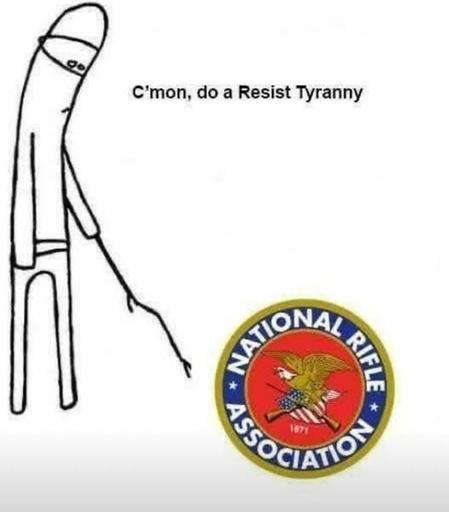 The "stick-poking" meme, where the guy with the stick is poking the National Rifle Association logo & saying "C'mon, do a Resist Tyranny"