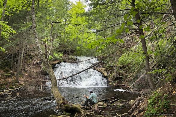A cascading waterfall tumbles down a rugged, rocky slope, framed by dense green foliage. The water flows into a shallow pool surrounded by moss-covered stones. A person sits quietly on a nearby rock, gazing at the rushing water, immersed in the tranquility of the forest setting.