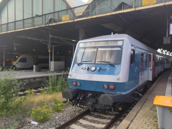 Steuerwagen mit Drehfallttür von vorne. Betreiber ist TCS