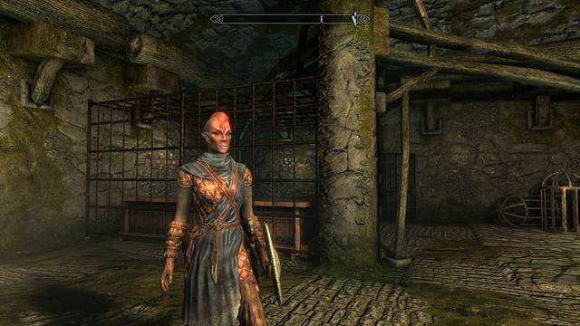 My new dark elf character escaping a dungeon while a dragon wreaks havoc above. She wears a cuirass and a shield