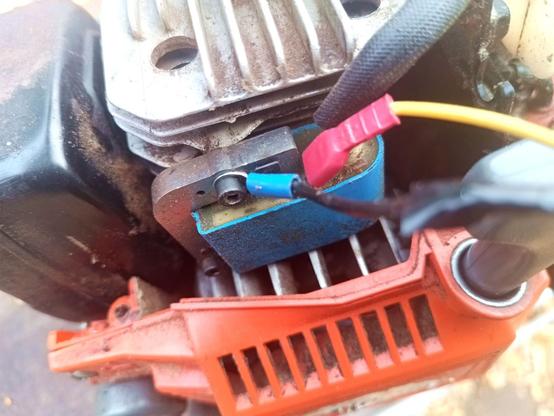 Close-up of the magneto of a small 2-stroke chainsaw motor. There's a black wire with a ring terminal screwed to mass. A yellow wire with  red spade terminal is connected (after a struggle) to the spade connector. The saw could use some blowing out with compressed air, again.