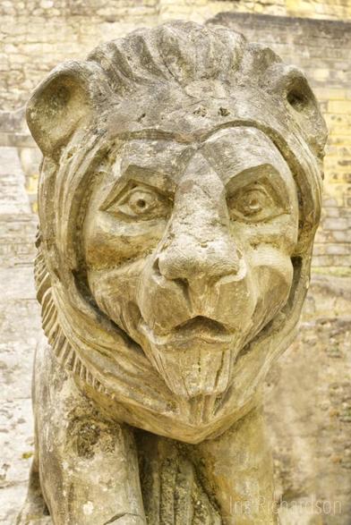 Stone Lion sculpture at Netherland photograph