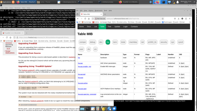 Screenshot of a FreeBSD desktop showing multiple open windows. The background terminal window displays make install logs for Nginx from the FreeBSD ports system on the Server. In the foreground, two browser windows are visible. One is open to the FreeBSD 14.3-RELEASE upgrade guide, outlining the use of freebsd-update to upgrade the system. The second browser window displays the website http://websysctl.alfonsosiciliano.net