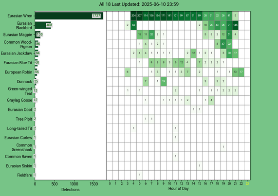 Today's top 20 bird chart